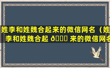 姓李和姓魏合起来的微信网名（姓李和姓魏合起 🐝 来的微信网名大全）